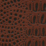 Col. 145/601 MARRONE