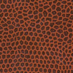 Col. 161/601 NOCCIOLA